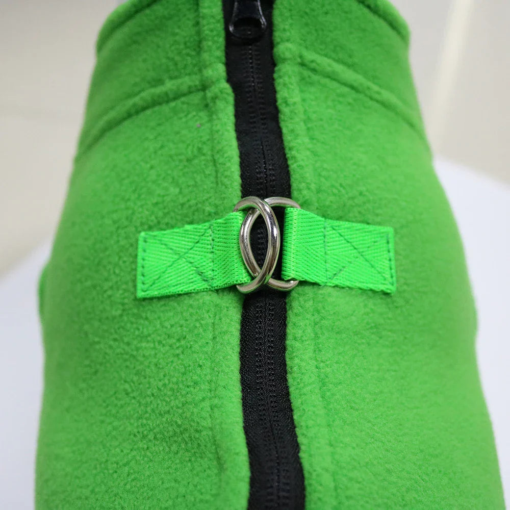 Roupinha de inverno para cães