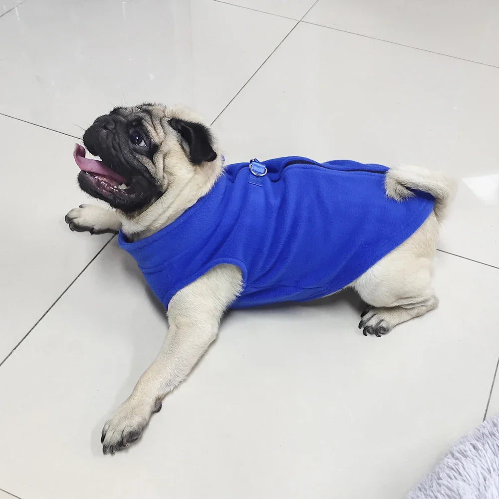 Roupinha de inverno para cães