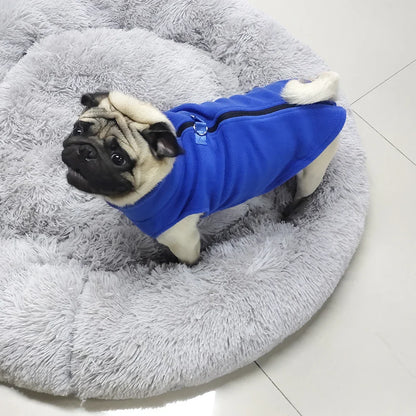 Roupinha de inverno para cães