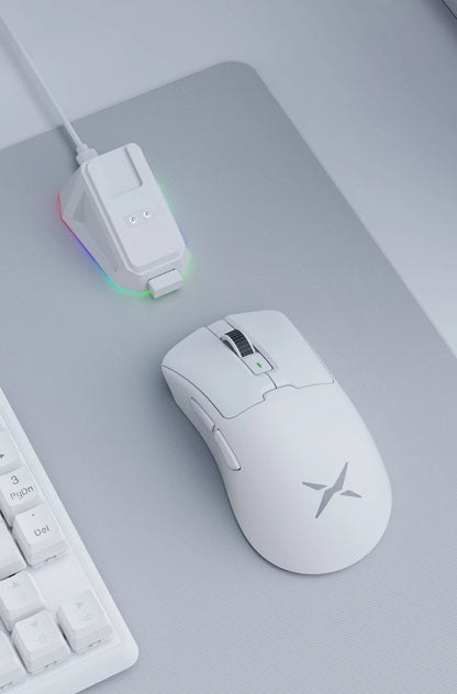 Mouse Delux M900Pro Ergonomic Wireless