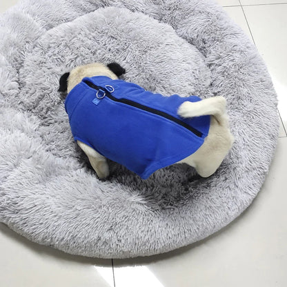 Roupinha de inverno para cães