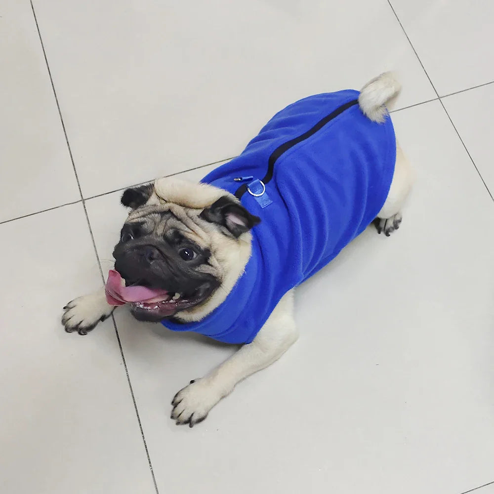 Roupinha de inverno para cães