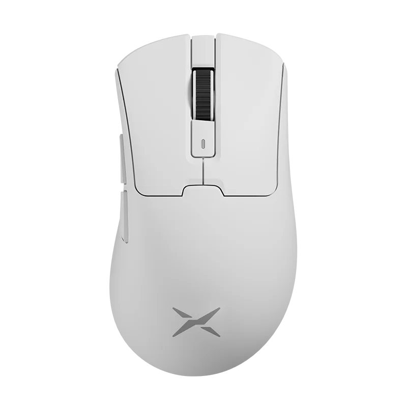 Mouse Delux M900Pro Ergonomic Wireless