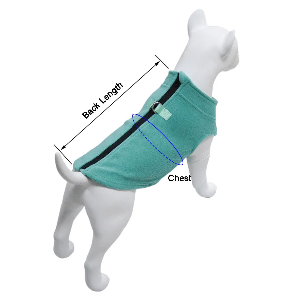 Roupinha de inverno para cães